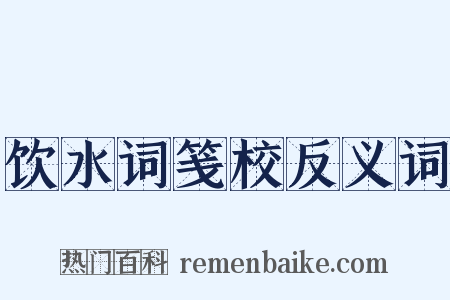 饮水词笺校反义词是什么意思的图片
